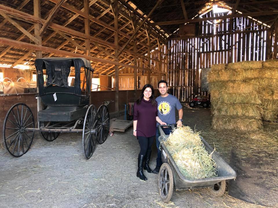 Volunteering at the farm for a non-profit board called sunflowerhill